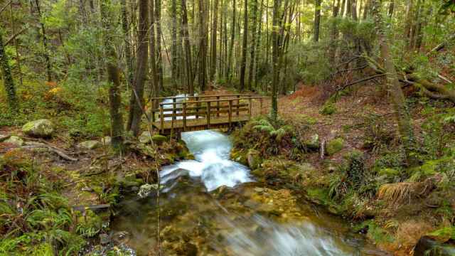 Ruta forestal paralela al río da Fraga, Moaña.