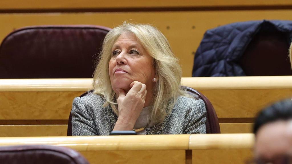 La alcaldesa de Marbella, Ángeles Muñoz, durante una sesión de control al Gobierno en el Senado