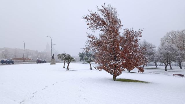 Vídeo de la nevada en las capitales de Salamanca, Zamora y Valladolid