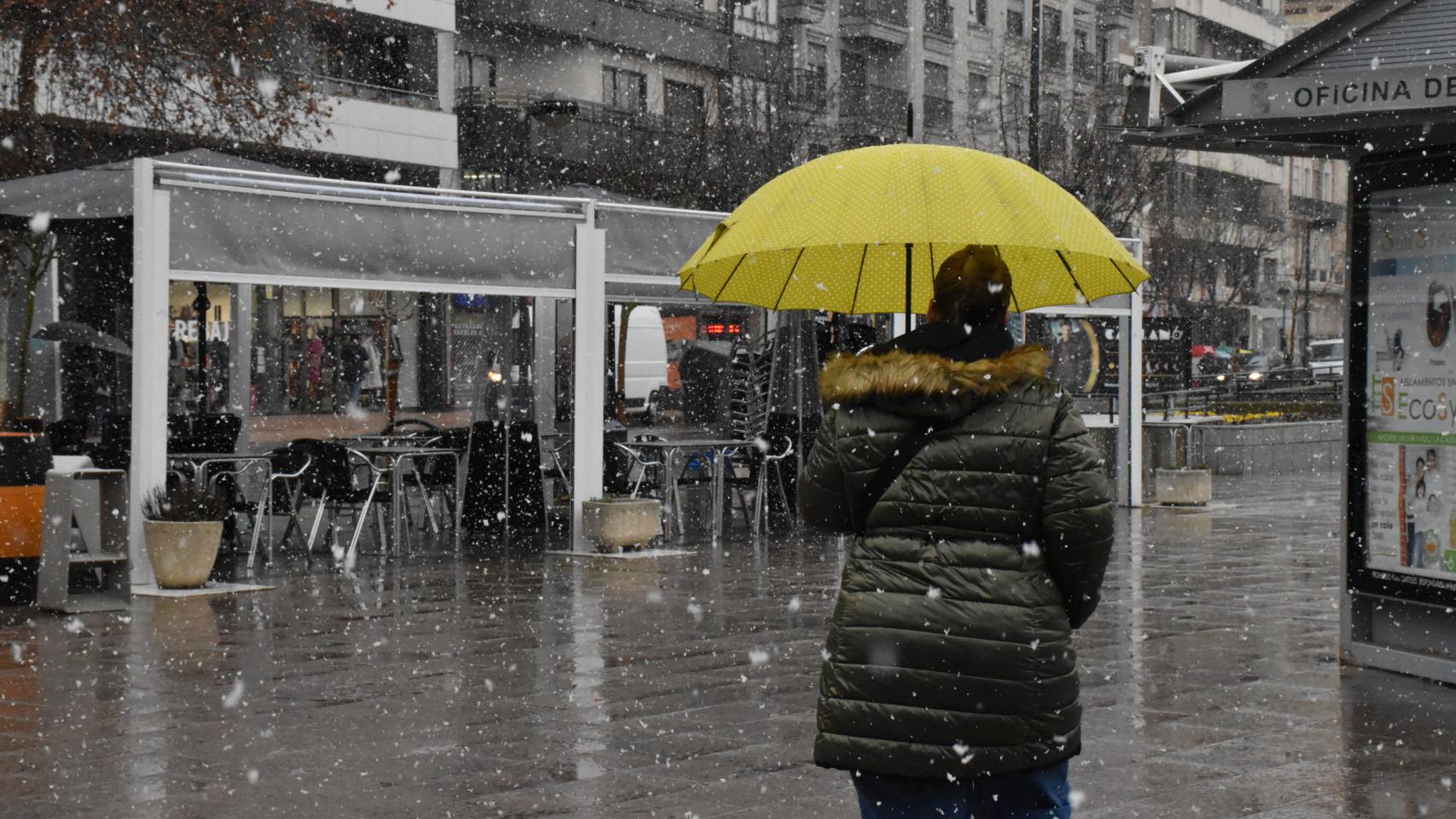 Nevada en Zamora