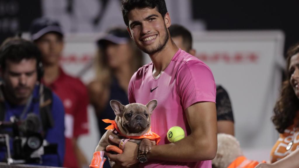 Carlos Alcaraz sostiene a un perro de una obra social durante el Abierto de Río de Janeiro