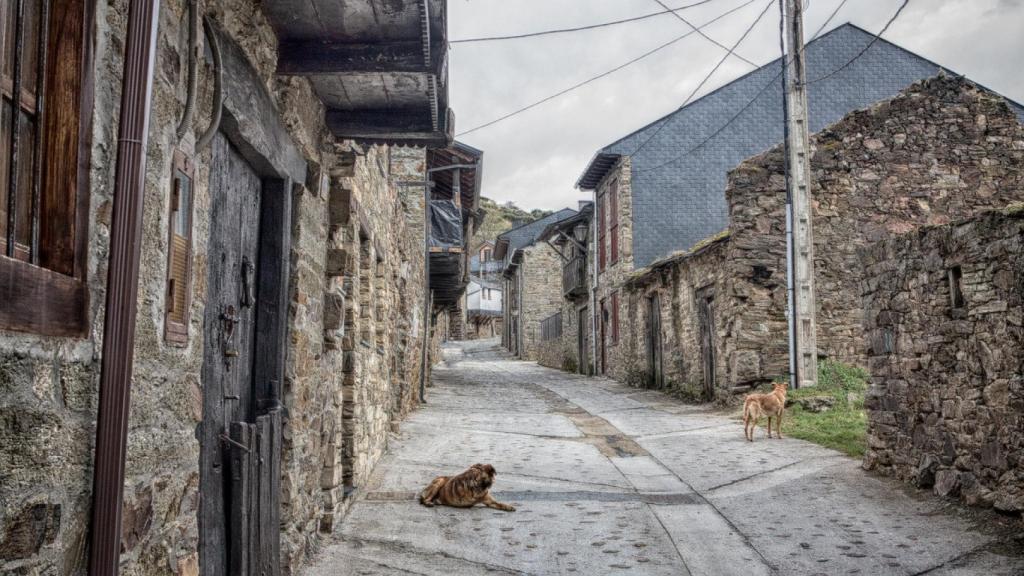 El Bierzo.