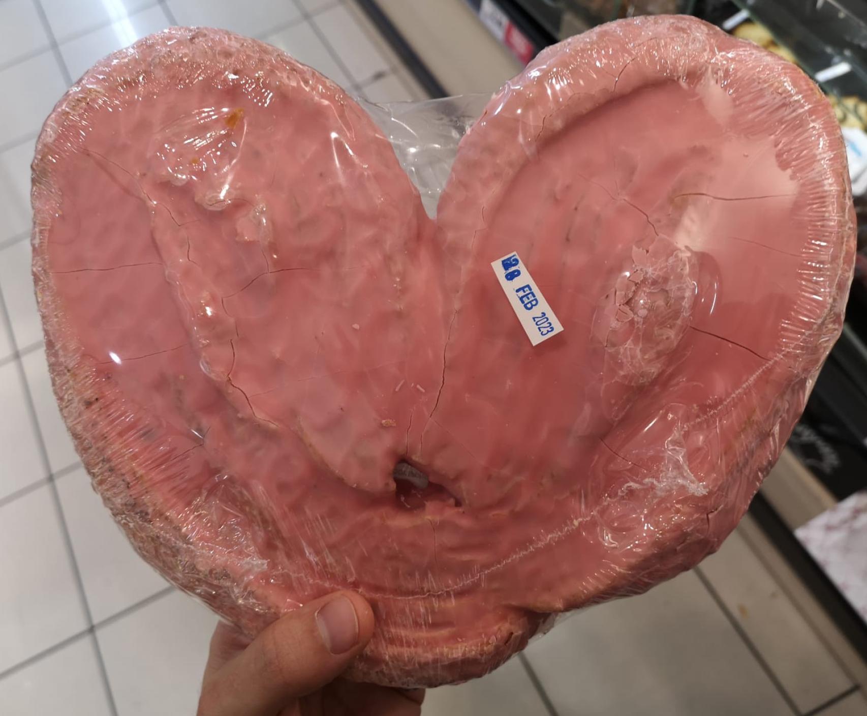 La palmera rosa de Dia.