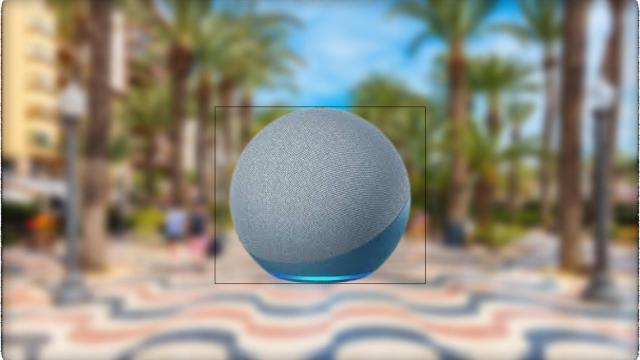 ¿Qué le preguntan los alicantinos a Alexa? Más de medio millón de solicitudes fueron para informarse