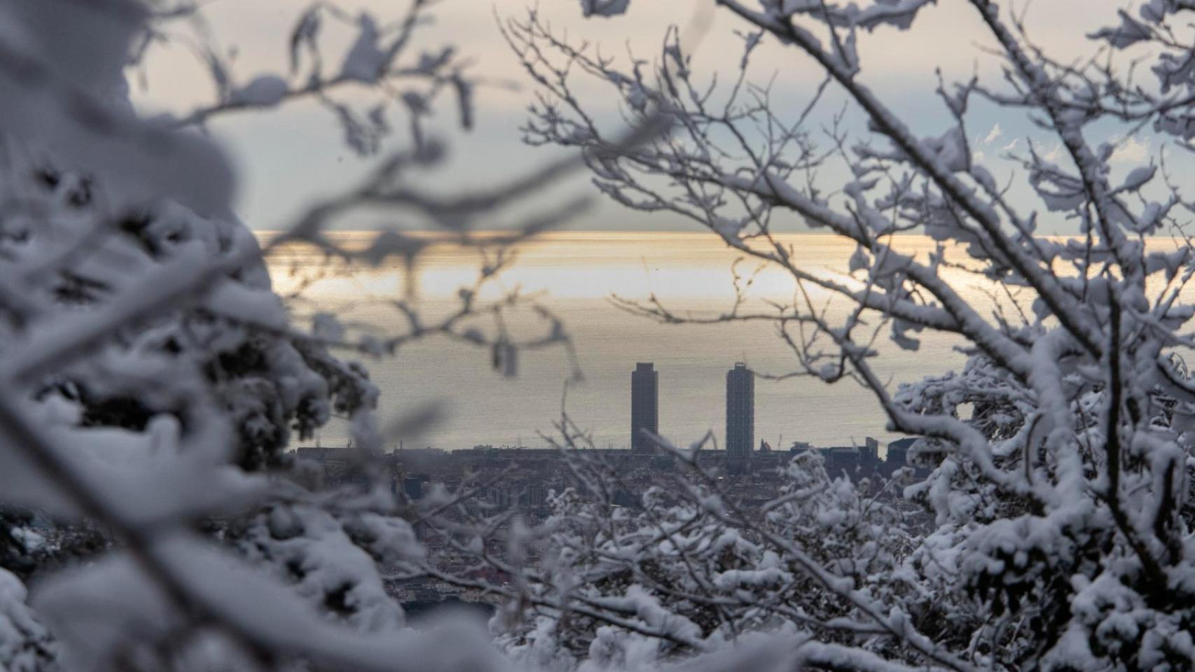 Aspecto del litoral Barcelonés a través de los árboles nevados de la montaña del Tibidabo, este lunes en que la nieve ha hecho presencia en los barrios con cota más elevada de la ciudad.