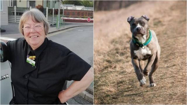 Anne, la vecina de Macastre (Valencia) muerta por el brutal ataque de un pitbull. EE