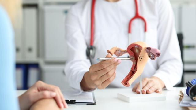 Las glándulas de Bartolino son dos pequeñas formaciones en forma de globo desinflado.