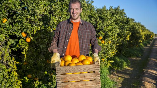 La importancia del relevo generacional en el ámbito rural