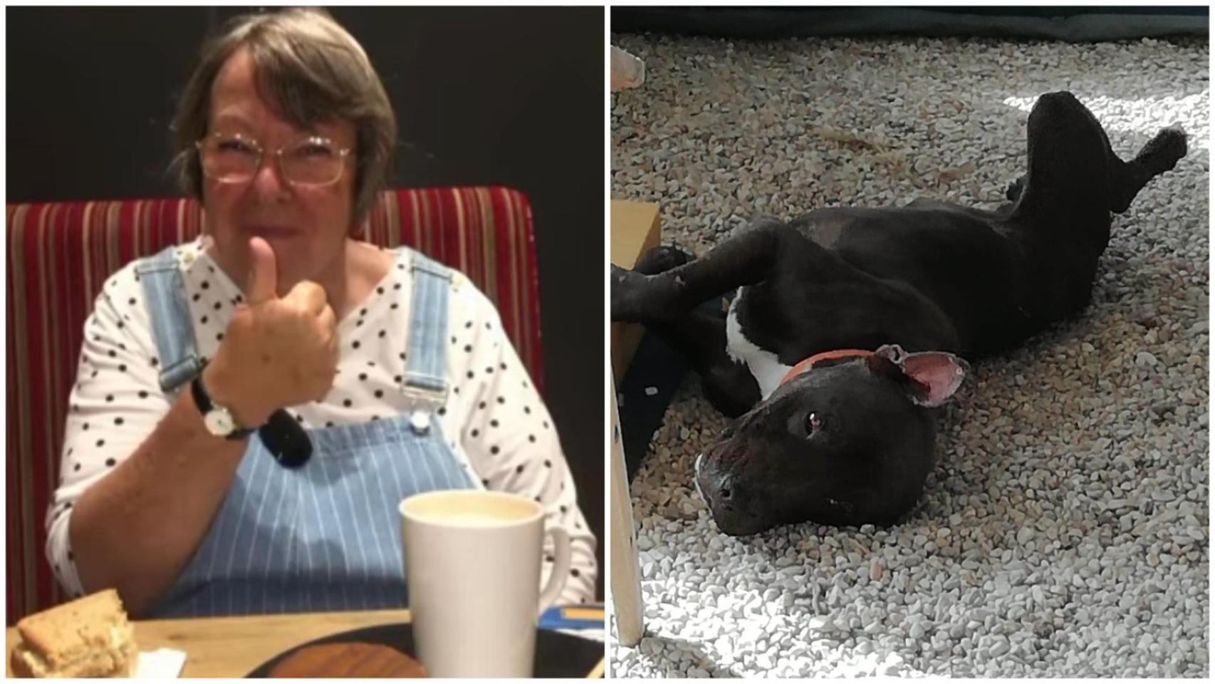 Anne Shields, en una imagen compartida por su hija, y Chocky, el pitbull que la mató. EE