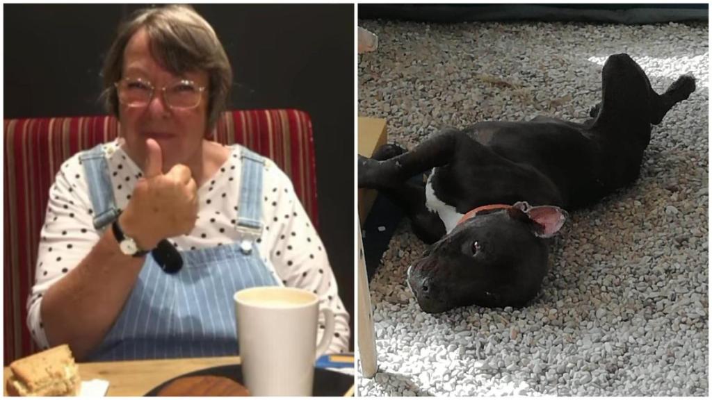 Anne Shields, en una imagen compartida por su hija, y Chocky, el pitbull que la mató. EE
