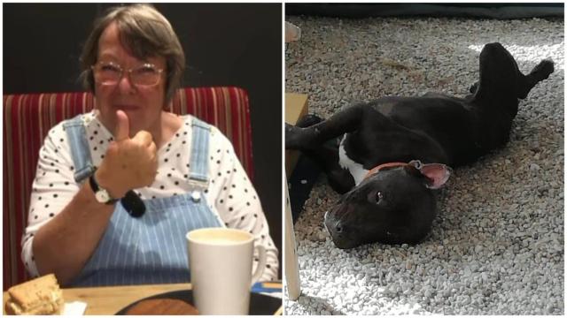 Anne Shields, en una imagen compartida por su hija, y Chocky, el pitbull que la mató. EE