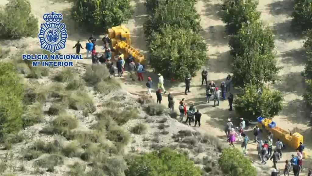 Investigan a 66 personas por una inspección de trabajo en una finca de Alicante
