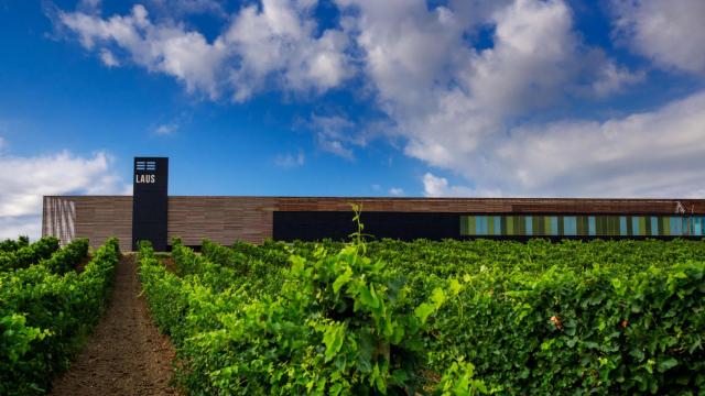 Enate Tempranillo Syrah y Laus Garnacha, las dos caras de una misma casa en el Somontano