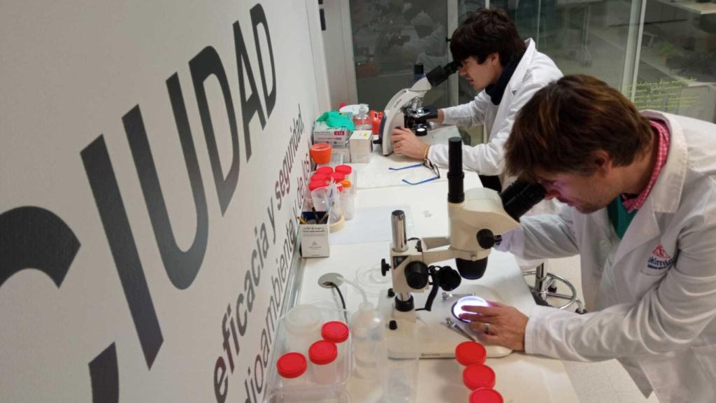 El análisis científico tras las prueba piloto.