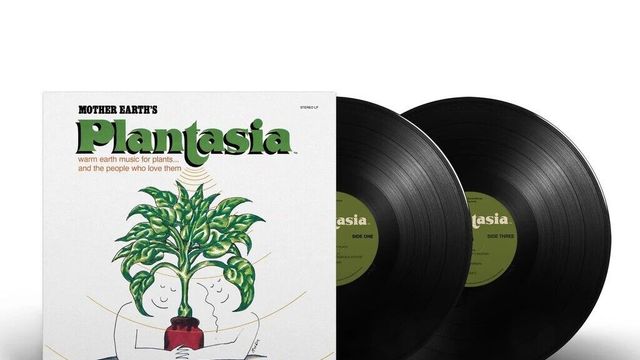 Como de otro planeta: Inteligencia vegetal y música para plantas