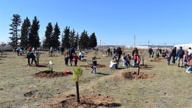 Un árbol por cada niño nacido en 2019: así es el nuevo pequeño bosque de Guadalajara