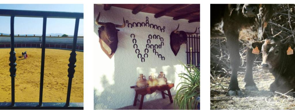 Imágenes de la cuenta oficial de Instagram de la Finca de la Macarena donde el empresario perdió la vida.