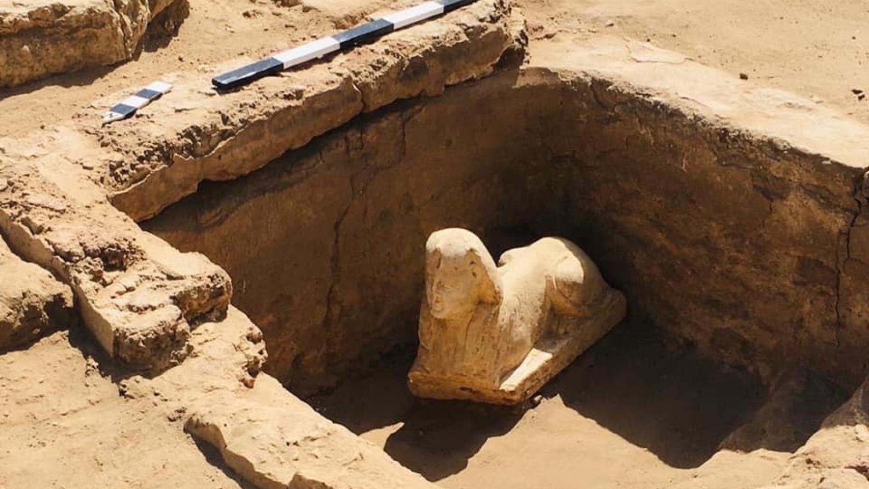 Esfinge hallada al sur de Egipto, al este del templo de Dendera, que podría representar al emperador Claudio. Foto: Ministerio de Antigüedades de Egipto