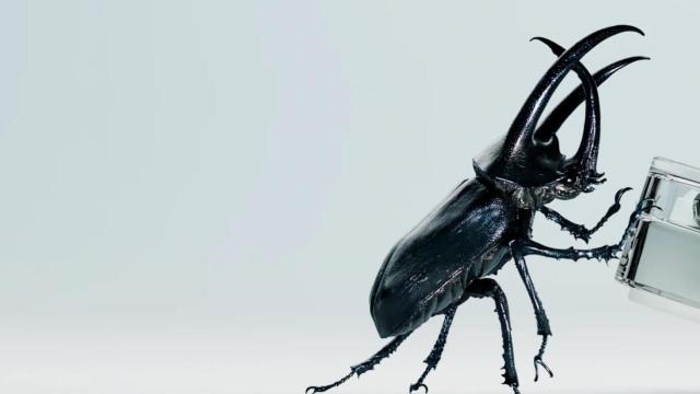 Nuevos auriculares Ear (2)