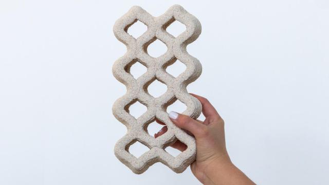 El ladrillo hecho con cáscara de huevo.