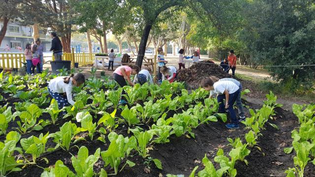 Niños trabajando en un huerto en una actividad infantil.