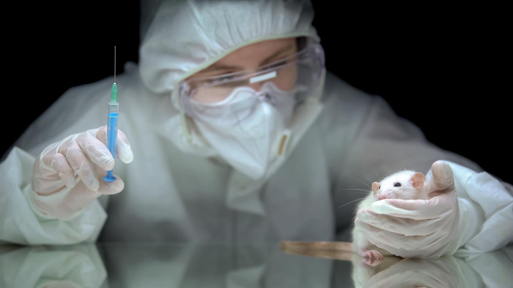 Un investigador intenta pinchar a un ratón.