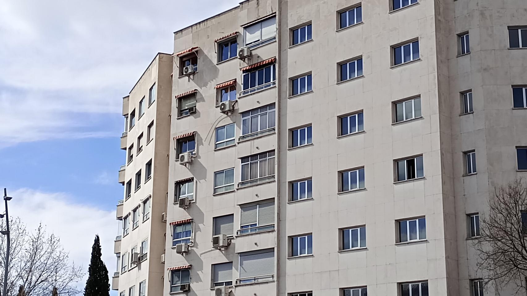 Fotos tomadas por el Moto G23