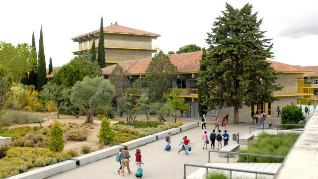 Apostar por la formación integral desde la infancia, clave para el desarrollo del pensamiento