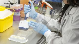 La compañía biotecnológica con sede en Navarra desarrolla medicamentos antimicrobianos innovadores para el tratamiento de enfermedades infecciosas provocadas por bacterias multirresistentes.