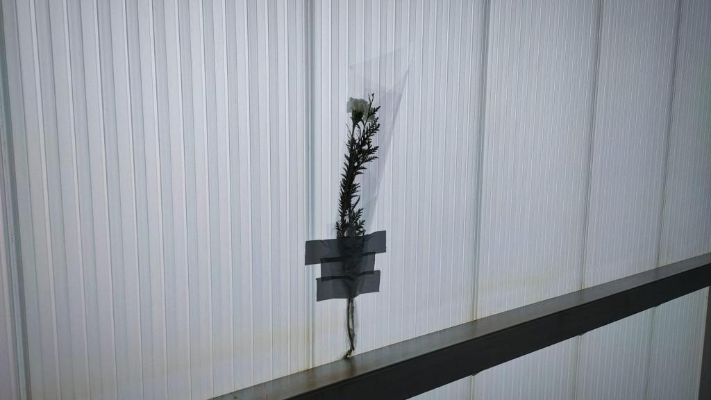 Flores en recuerdo de Leo Alexandre N. E., frente al lugar del accidente.