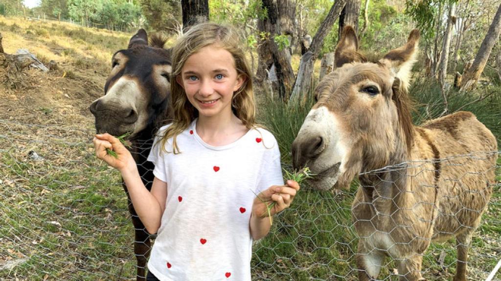Una niña dando de comer a dos burros. Imagen de archivo.