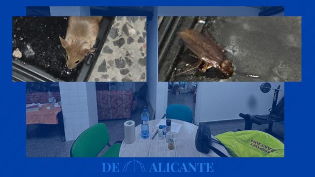 Fotografías tomadas ayer por el diputado del PP en la base del SVB de Villena.