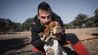 El truficultor Daniel Brito posa junto a Covid, su perro trufero, y cuatro trufas recién desenterradas.