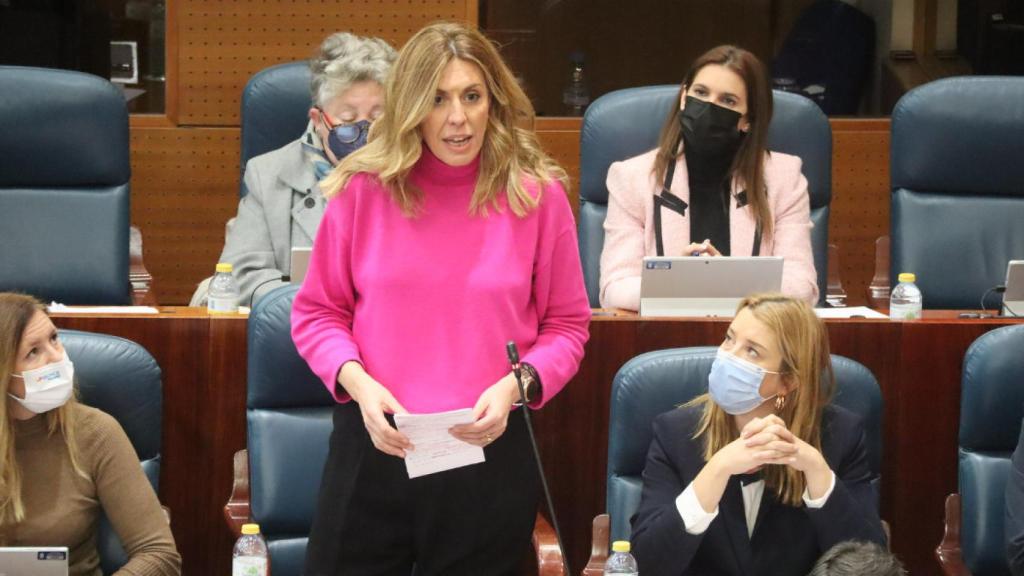 Tejero, durante una intervención en el pleno de la Asamblea de Madrid.