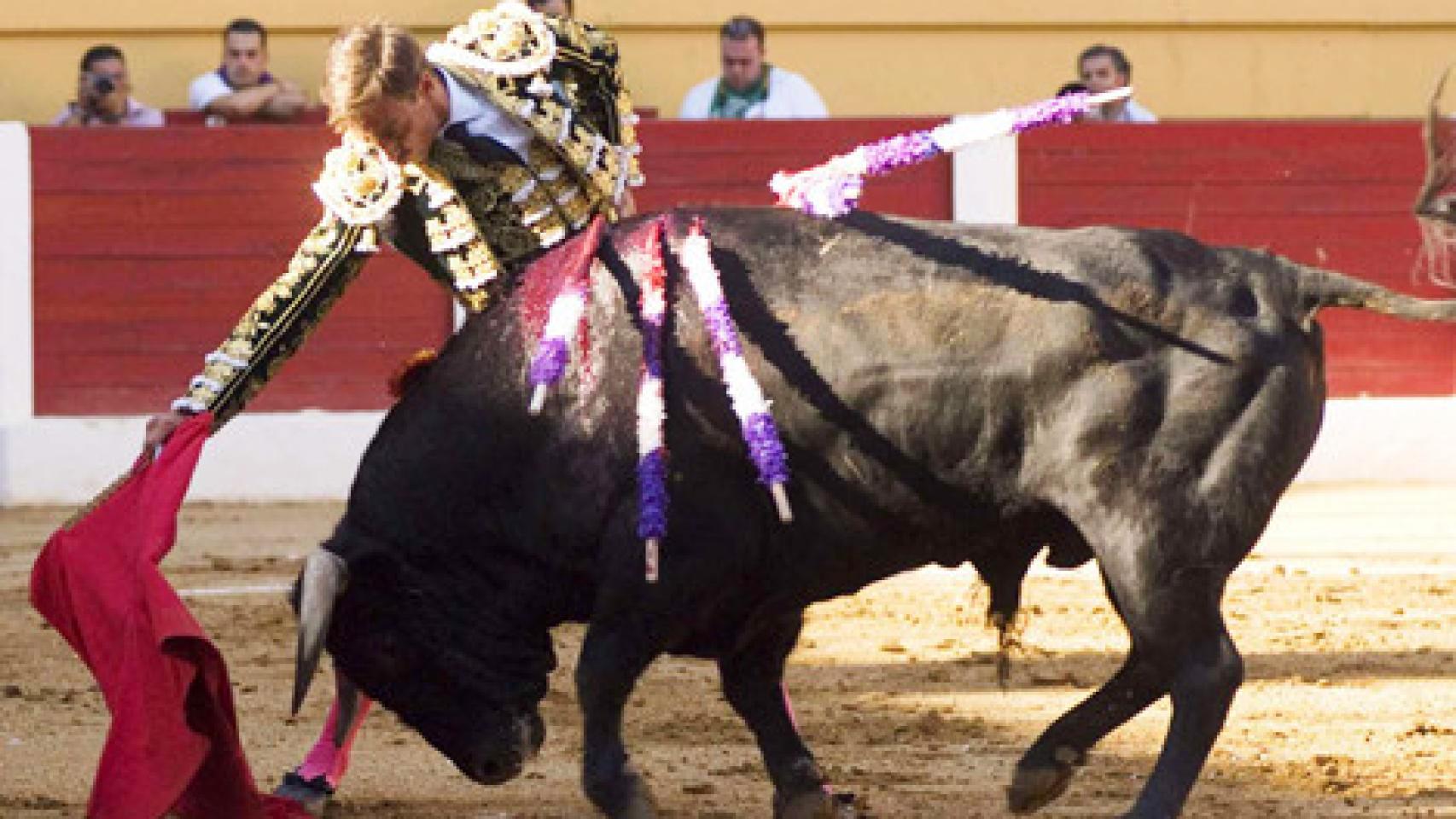 Manolo Sánchez toreando en Íscar.