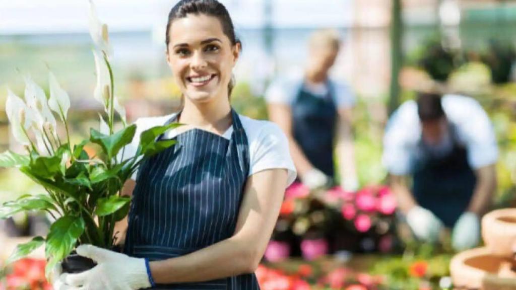 Castilla-La Mancha, entre las comunidades con menos proporción de empleo verde de España.