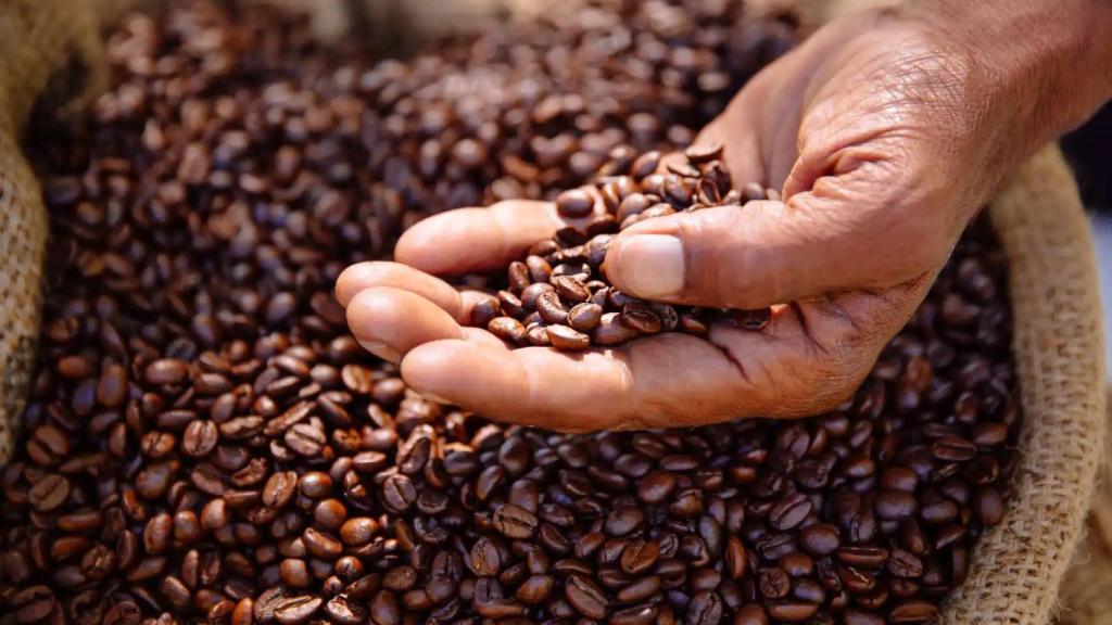 El mejor café según la OCU.