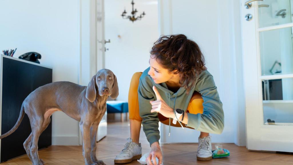 Estos son los perros que tendrán que pasar un test de sociabilidad, según la ley Belarra