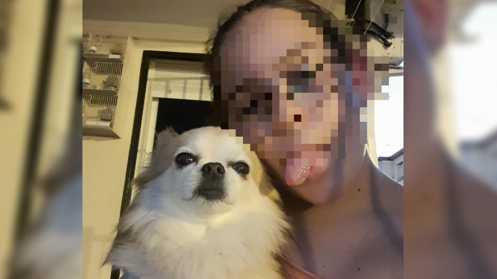 Una imagen del perro al que mataron a golpes, de la raza pomerania.