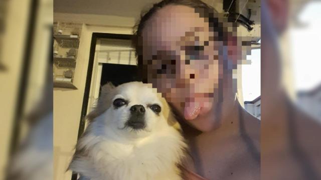 Una imagen del perro al que mataron a golpes, de la raza pomerania.