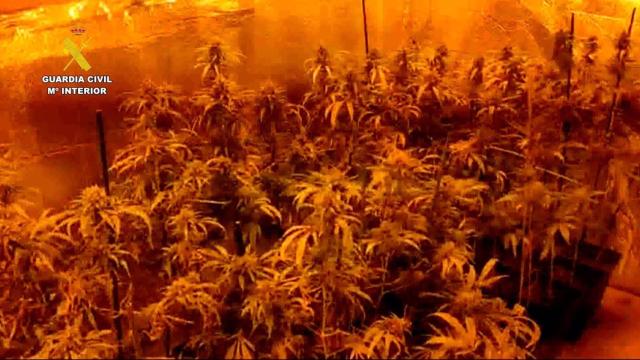 Siete detenidos por traficar con droga en Toledo y Madrid: