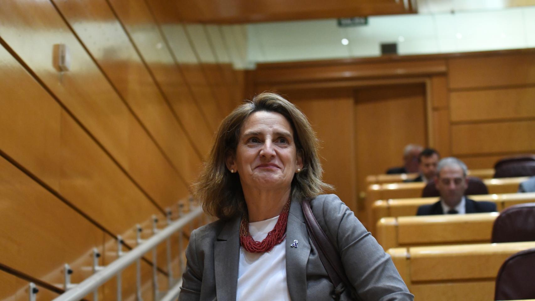 La vicepresidenta tercera y ministra para la Transición Ecológica y el Reto Demográfico, Teresa Ribera
