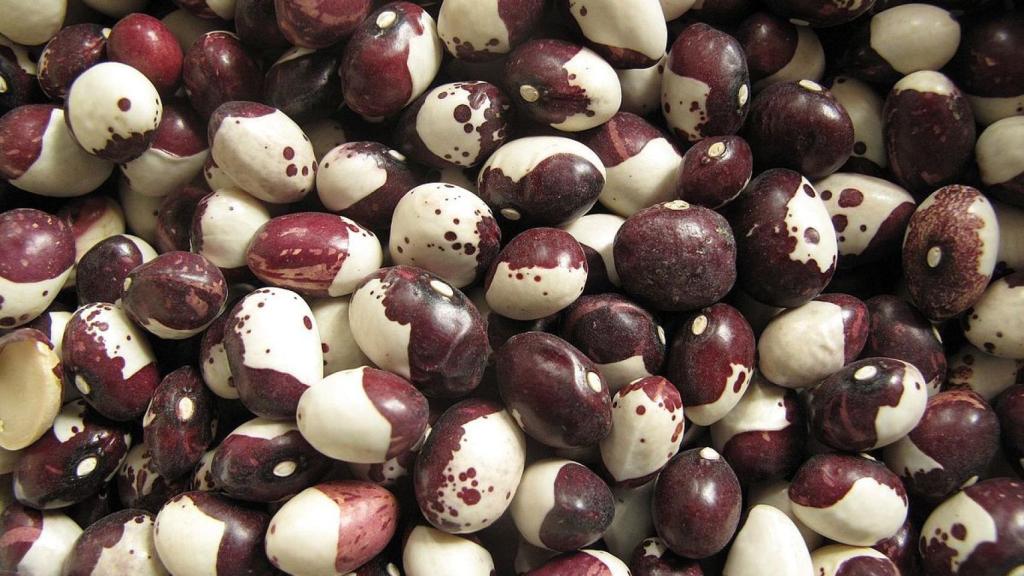 Esta variedad de alubias es muy popular en La Rioja y posee muchas propiedades.