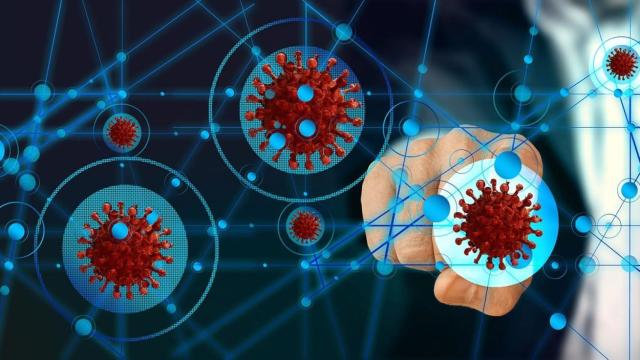 El  90% de las empresas españolas aumentó su uso de herramientas digitales durante la pandemia, según el estudio de Entelgy.