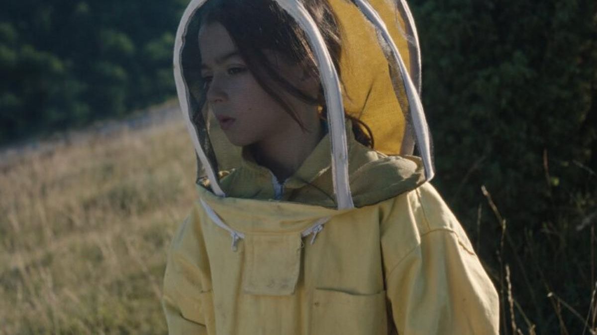 Un fotograma de la película '20.000 especies de abeja'.