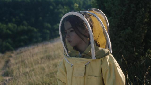 Fotograma de '20.000 especies de abejas'.