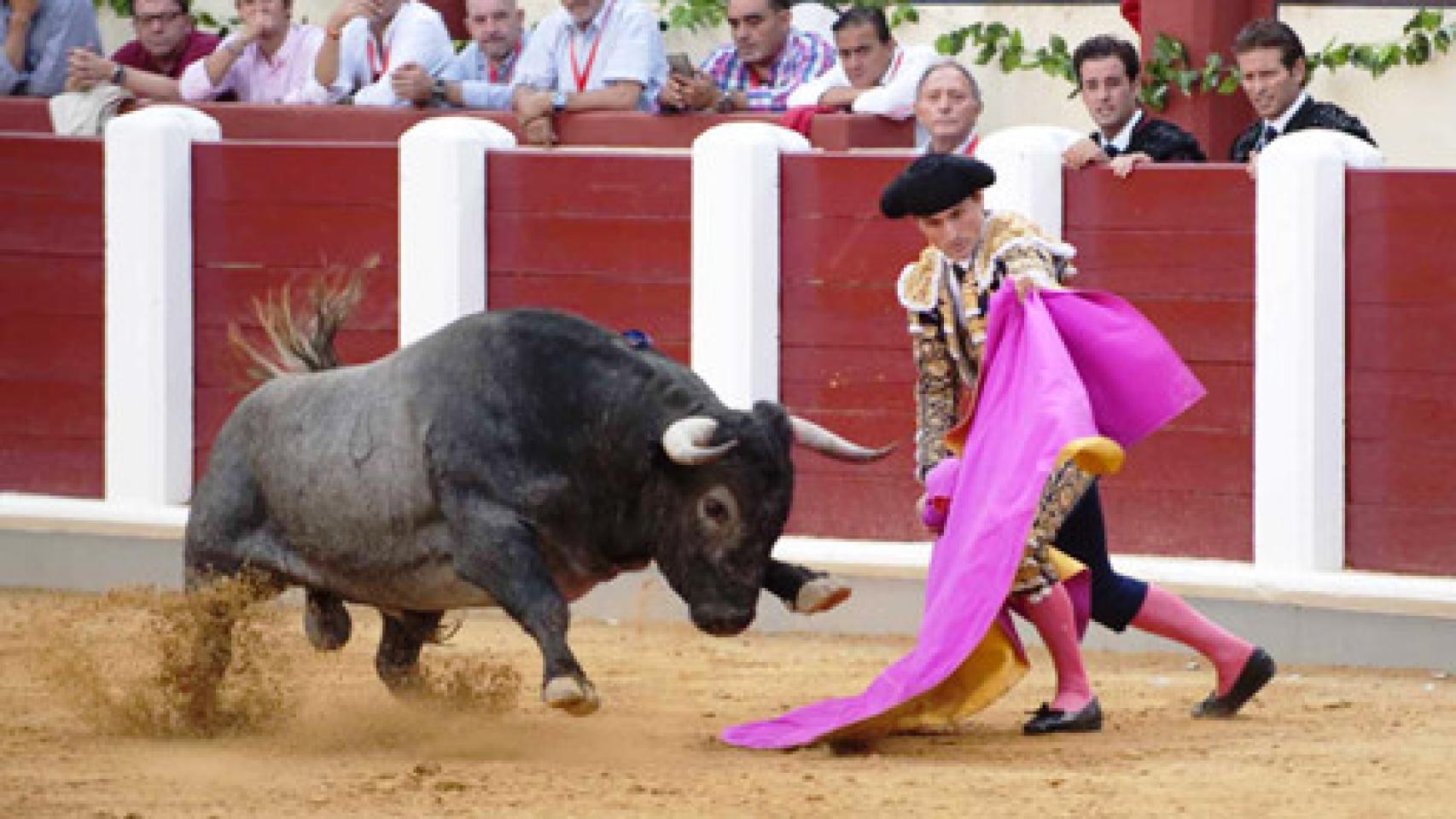 El torero vallisoletano Joselillo