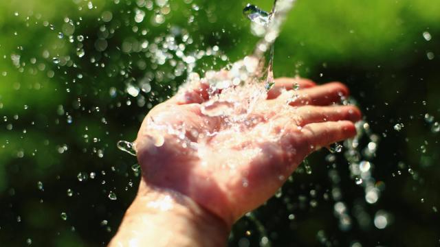 Seamos colibríes para acelerar el cambio