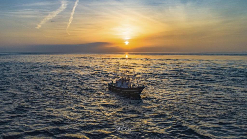 Imagen de un barco en alta mar.