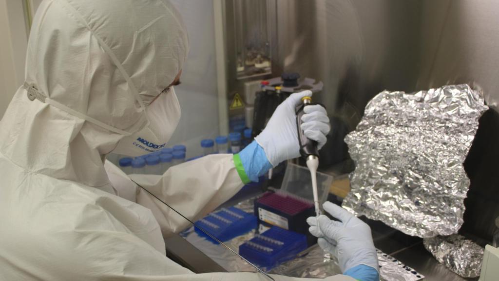 Trabajo de laboratorio con la muestra Moscheles.